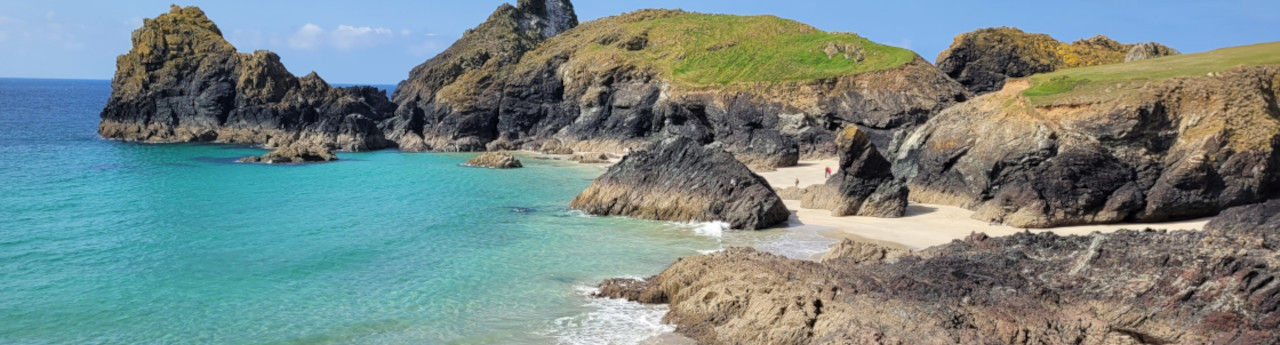 Kynance Cove by Lisa Taylor