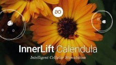 Calendula Cellular Elixir: Alchemy in a cell