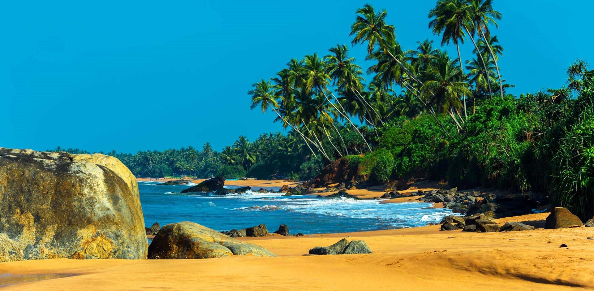 Tropical coast, Sri Lanka