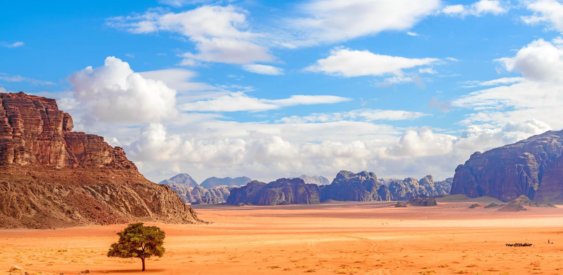 Wadi Rum Jordan