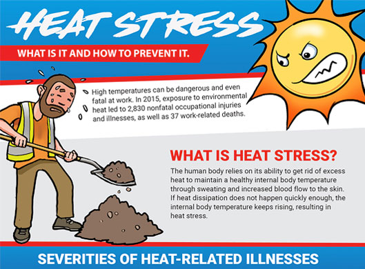 Heat Stress Infographic