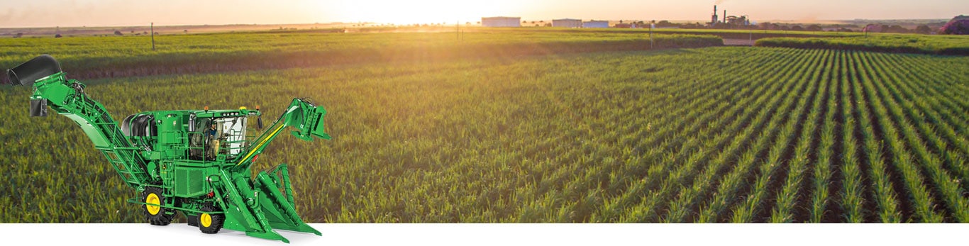 Sugar cane field with an overlay of a sugar cane harvester