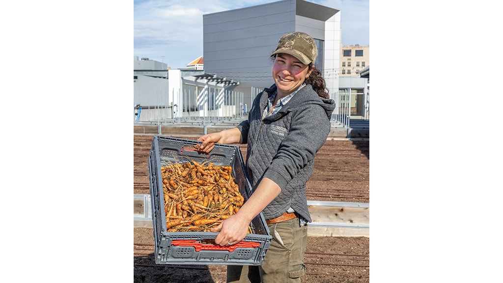 Person smiling on a rooftop farm with spotted olive green baseball cap on holding a flat bin of small golden carrots with a building in the background 