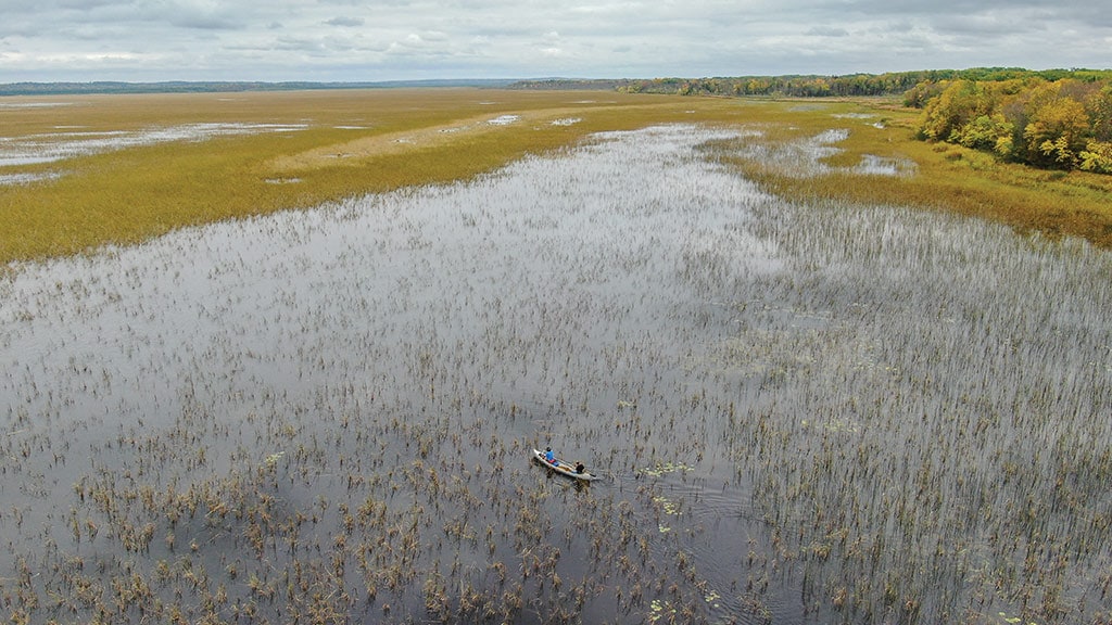 Sprawling aerial view of marshland with two people in a canoe 