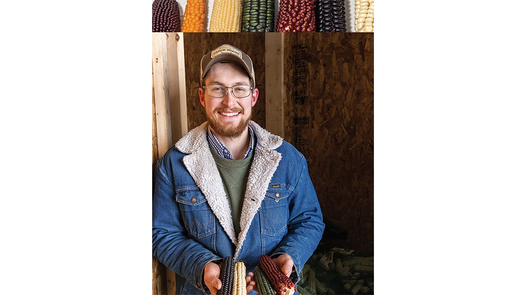 Closeup of colorful ears of corn with different sized kernels