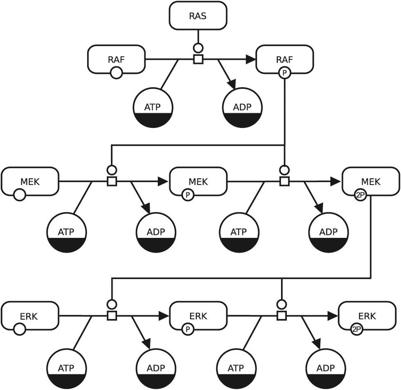 Figure 3: 
Design considerations for representing systems biology information with SBGN: an example of a SBGN PD (process description) map using two types of entity pool nodes; one for pools of different macromolecules and another for pools of simple chemicals (©2019–2022 Schreiber et al., CC BY 4.0 [10]).
