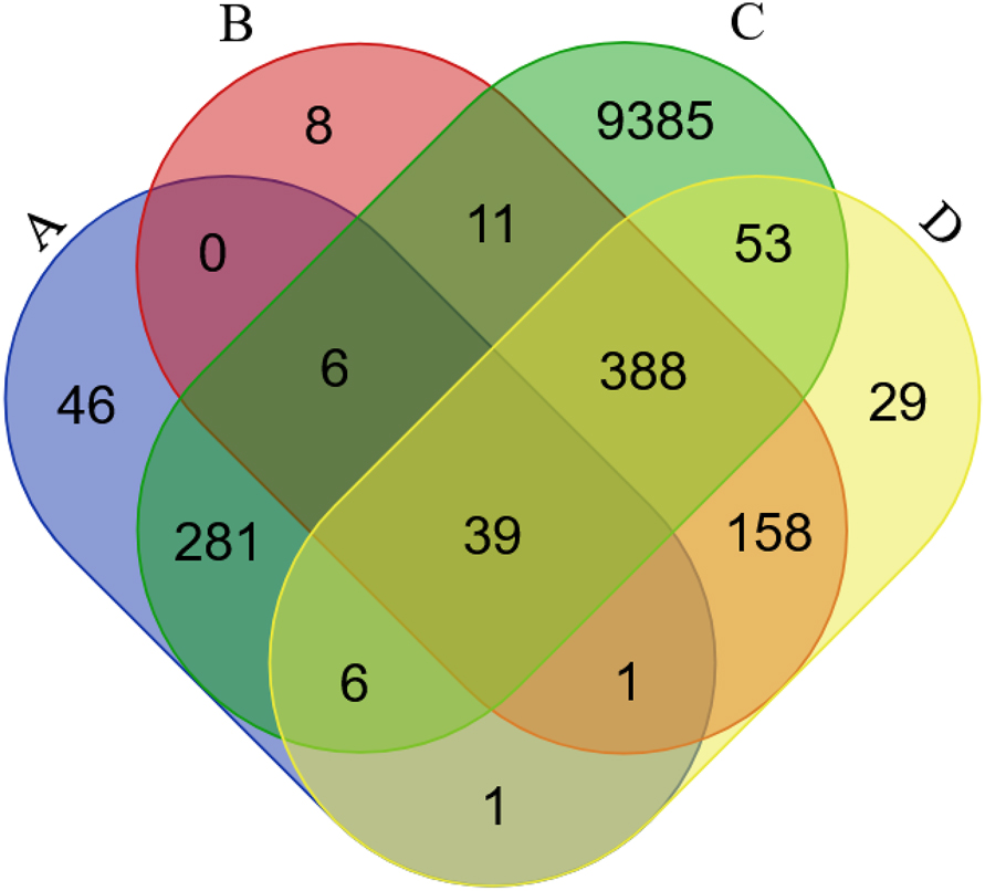 Figure 2: 
Observed and predicted Ataxin-1 H. sapiens PPI network. (A) Main PPI databases; (B) the predicted interactome based on M. musculus main databases (only those genes that are in common between the DIOPT and Ensembl orthology predictions); (C) the interactomes/Homo sapiens (PolyQ_22) dataset; (D) the predicted interactome based on the M. musculus PolyQ_models_22 dataset (only those genes that are in common between the DIOPT and Ensembl orthology predictions).
