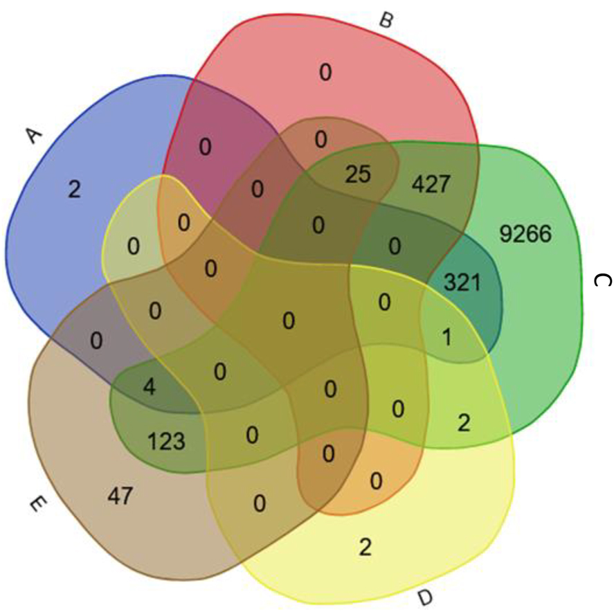 Figure 4: 
Observed and predicted Ataxin-1 H. sapiens PPI network. (A) H. sapiens main PPI databases; (B) the 452 well supported new human Ataxin-1 interactors set; (C) the interactomes/Homo sapiens (PolyQ_22) dataset; (D) the predicted interactome based on the D. melanogaster main databases (only those genes that are in common between the DIOPT and Ensembl orthology predictions were considered); (E) the predicted H. sapiens interactome based on D. melanogaster wt and exp Ataxin-1 mutants (only those genes that are in common between the DIOPT and Ensembl orthology predictions).
