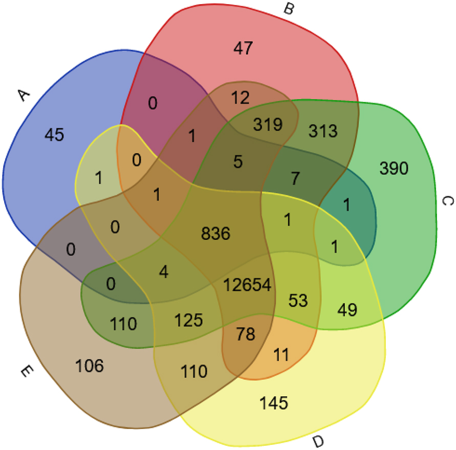 Figure 5: 
Protein expression spatial profile of the (A) 909 Ataxin-1 interactors in brain tissues important in SCA1, namely (B) basal ganglia, (C) cerebral cortex, (D) midbrain, and (E) thalamus.
