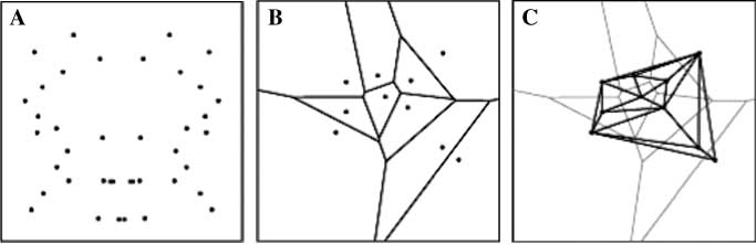 Figure 2 (A) Set of Point, (B) VD, and (C) DT.