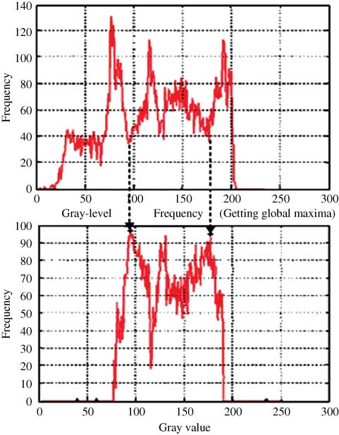 Figure 4 Global Maxima and Local Minima.