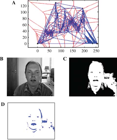 Figure 5 (A) DT, (B) Original Image, (C) Segmentation, and (D) Detection.