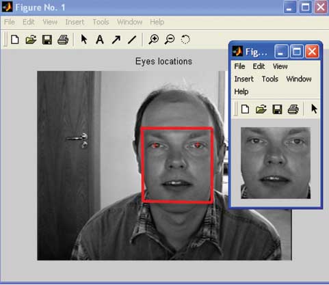 Figure 6 Facial Face (Automatic Crop).