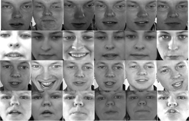 Figure 7 Example Face Cropped Image from the BioID Data Set.