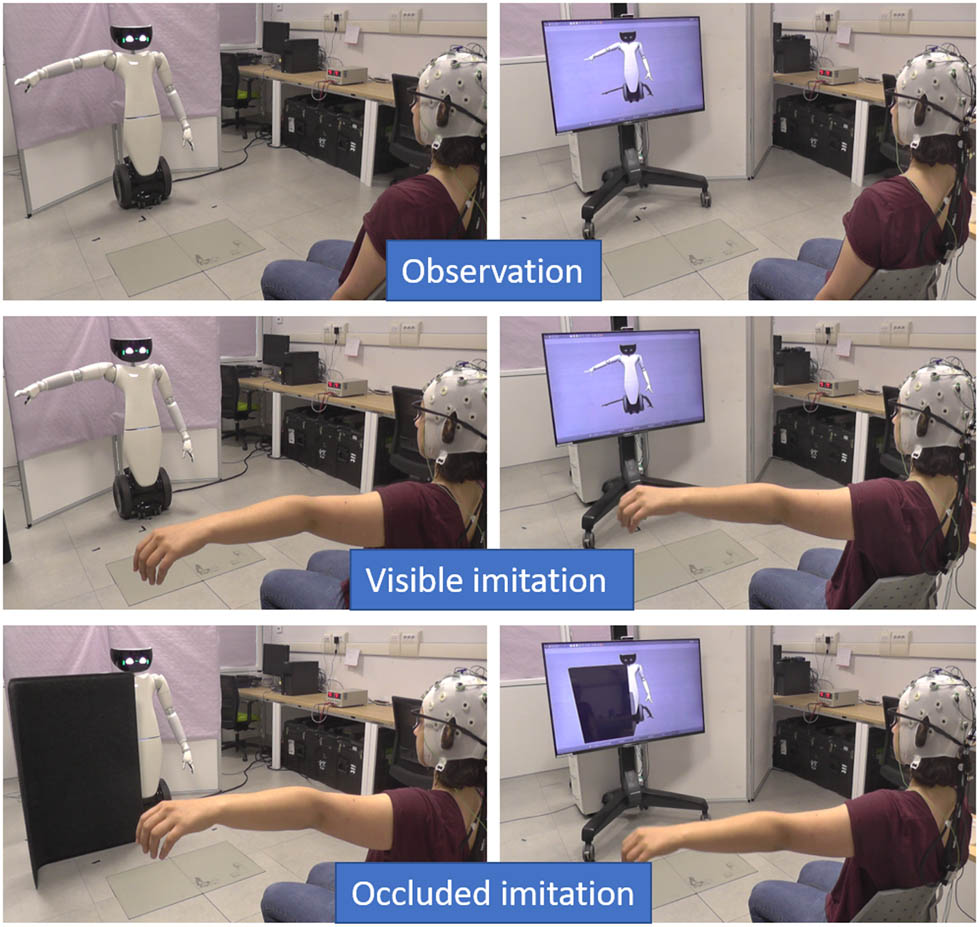 Figure 3 
                     The experimental scenarios during observation, visible imitation, and occluded imitation (respectively, first, second, and third rows) for the physical robot and virtual robot (first and second columns, respectively).
                  