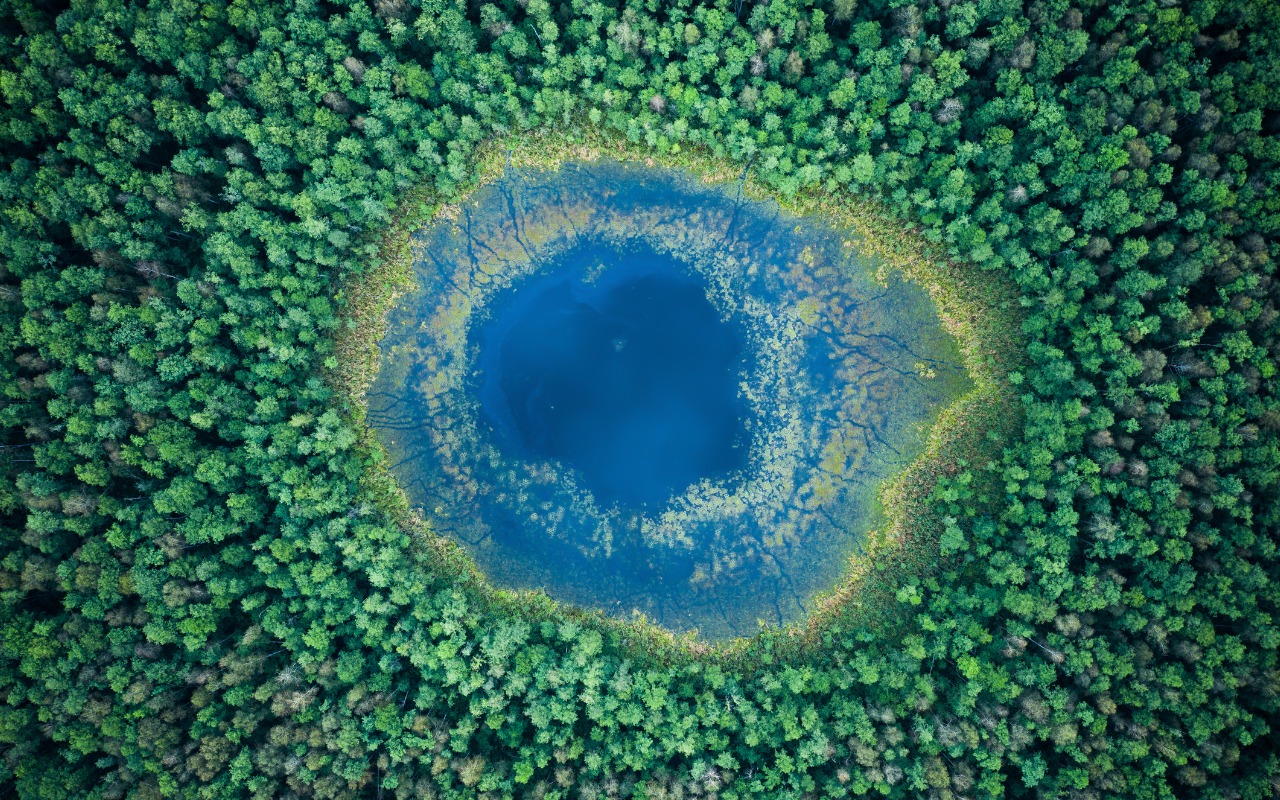 Overhead view of a lake in an autumn landscape.