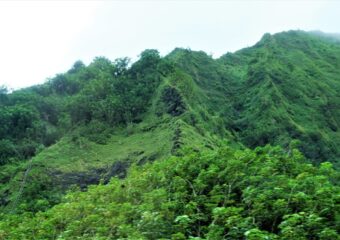 The Ha'iku Stairs, also known as the Stairway to Heaven on Oahu, Hawaii.