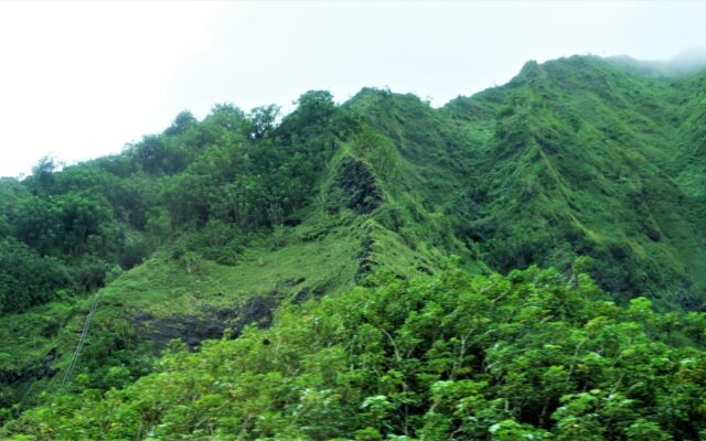 The Ha'iku Stairs, also known as the Stairway to Heaven on Oahu, Hawaii.