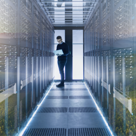 IT professional working on Dell laptop while managing Dell EMC servers, image overlaid with image of flowers in an open field.