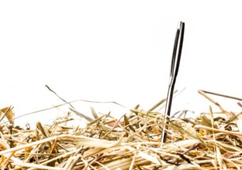 Closeup of a needle in a haystack or pile of hay, against a white background.