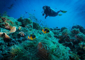 Great Barrier Reef