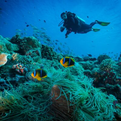 Great Barrier Reef