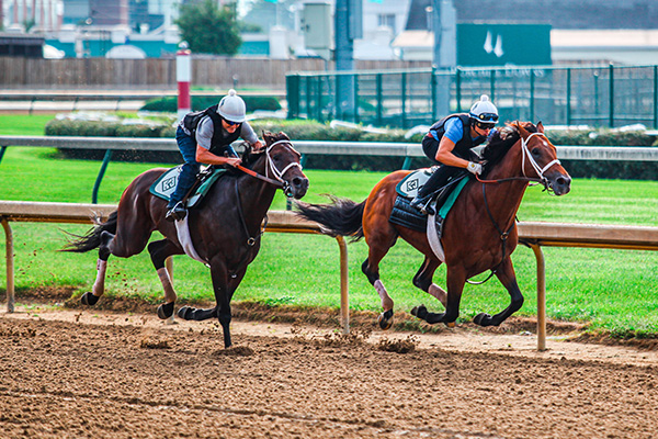 Thoroughbred Workout Tour