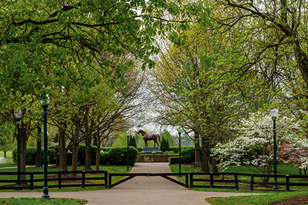 Kentucky Horse Park