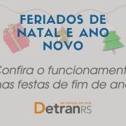 card cinza com cordão de natal onde há uma bolinha, um presente, uma estrela, uma árvore e outra bola de natal, todos em segundo plano e na frente está escrito feriados de natal e ano novo, confira o funcionamento nas festas de fim de ano