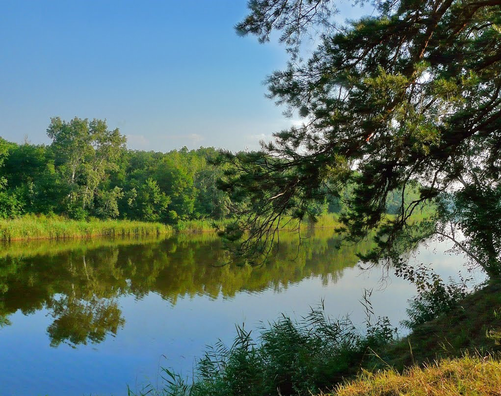 Самарський краєвид. Фото: http://prof-nvf.org/news/otdykh_ozdorovlenie_i_lechenie_rekreacionnye_resursy_dnepropetrovskoj_oblasti/2014-08-15-162