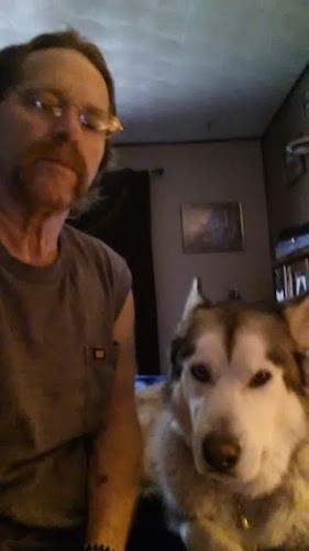 A black with gray and white Alusky is laying on a bed with its owner sitting next to him.