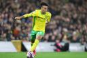 Kaide Gordon made a bright cameo in Norwich City's draw with Leeds United.