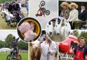 Highlights from the Royal Norfolk Show 2023