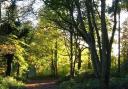 Holt Country Park has closed due to strong winds