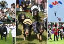 All of the best pictures from the first day of the Royal Norfolk Show