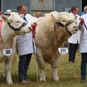 Traffic is once again building around the Norfolk Showground as thousands leave after the final day of the Royal Norfolk Show