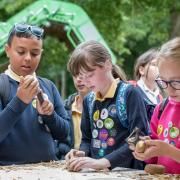 Explore the Fruit and Veg Trail at the Royal Norfolk Show 2023 Discovery Zone