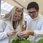 Learn about science at the Royal Norfolk Show 2023 STEMM Village