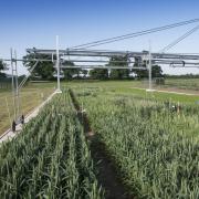 Up to £2.5m of 'Launchpad' funding is available for innovators of food and farming technologies across the East of England. Pictured: Phenospex crop analysis at the John Innes Centre on Norwich Research Park