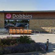 Dobbies is closing its King's Lynn store