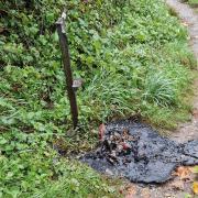 A dog poo bin was torched in an apparent vandal attack in Hethersett