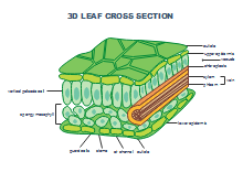 Lab Apparatus List