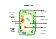 Lab Apparatus List