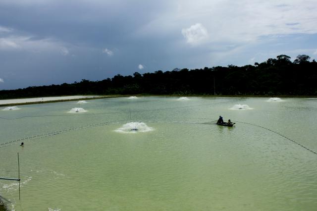 Imagem de Mapeamento de viveiros escavados para aquicultura no Brasil