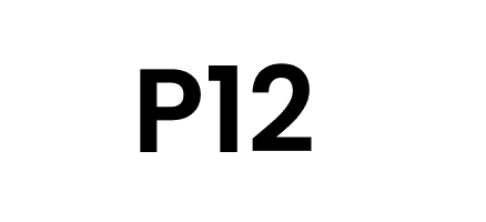 P12