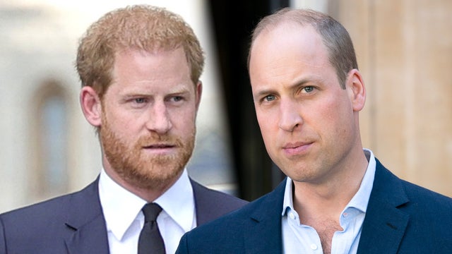 Prince Harry Misses Friend’s Wedding to Avoid Awkwardness With Prince William (Royal Expert)