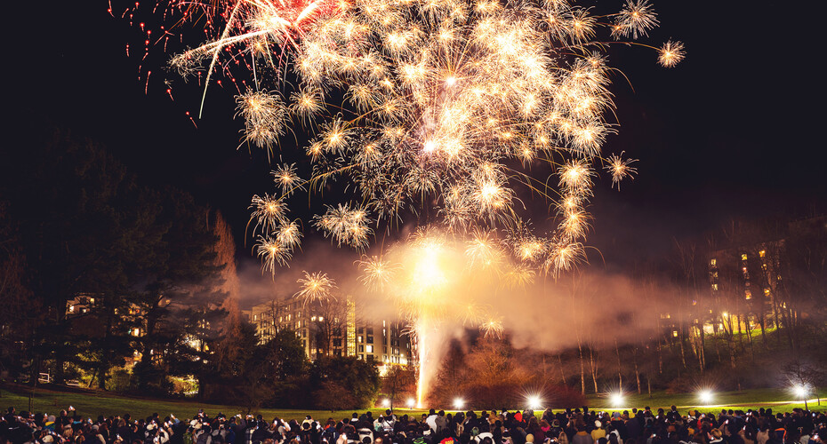 Students watching fireworks at a Diwali celebration on campus