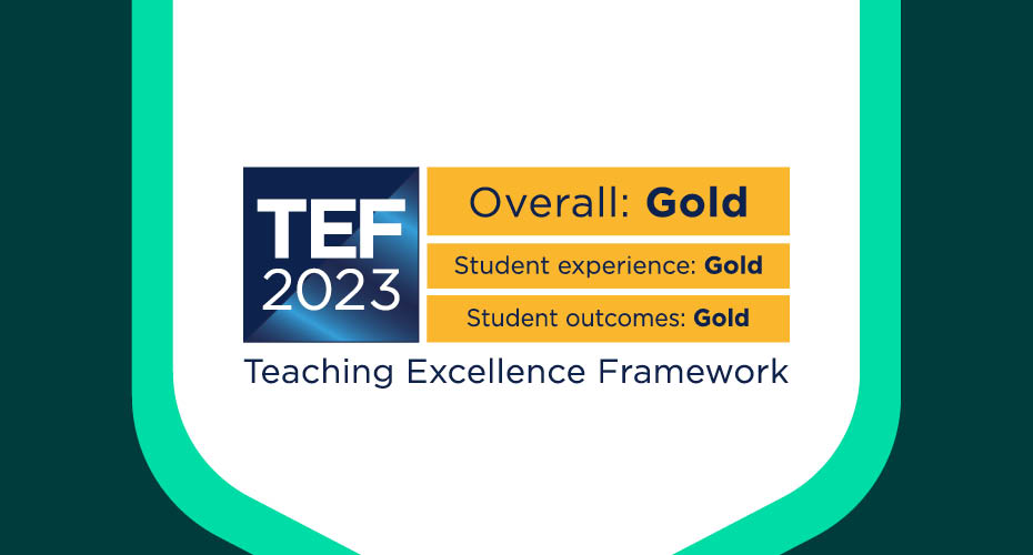 Tef gold award logo representing exceptional student experience in higher education, showcasing excellence in teaching quality.