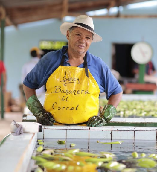 Man with hat stands near bananas being cleaned at farm in Colombia.