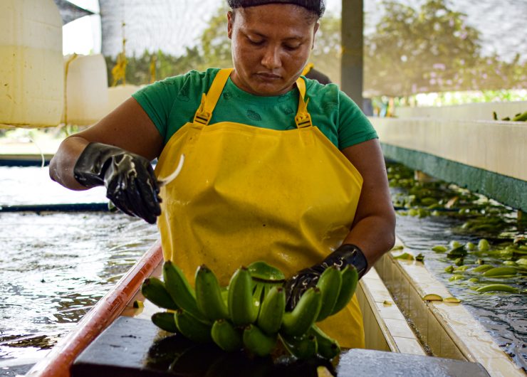 woman working with bananas